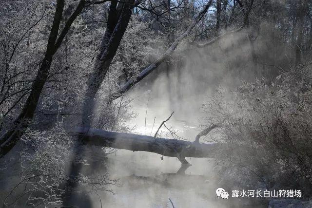 越解释，气场越弱